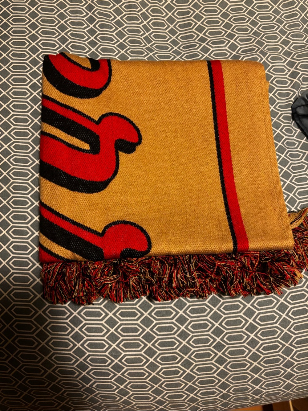 BURBERRY Logo Cotton Jacquard Scarf AUTHENTIC made in Italy NWOT pics in listing